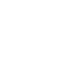 gear-stick